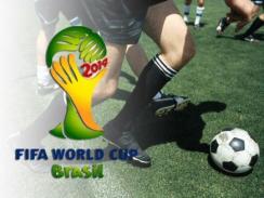 France - Finland, Qualifying Match for the FIFA World Cup, B